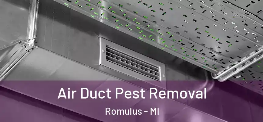 Air Duct Pest Removal Romulus - MI