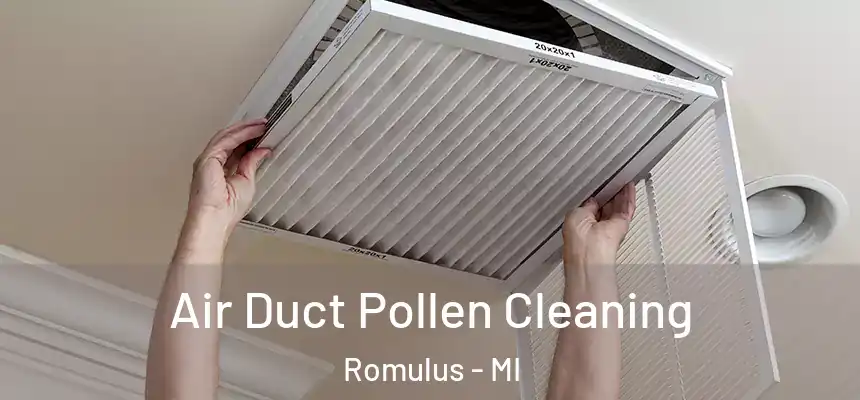  Air Duct Pollen Cleaning Romulus - MI