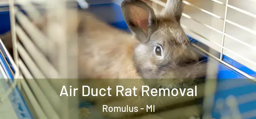  Air Duct Rat Removal Romulus - MI