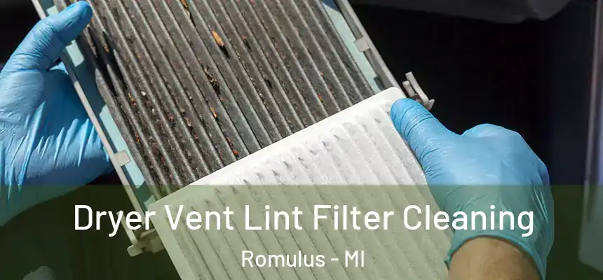  Dryer Vent Lint Filter Cleaning Romulus - MI