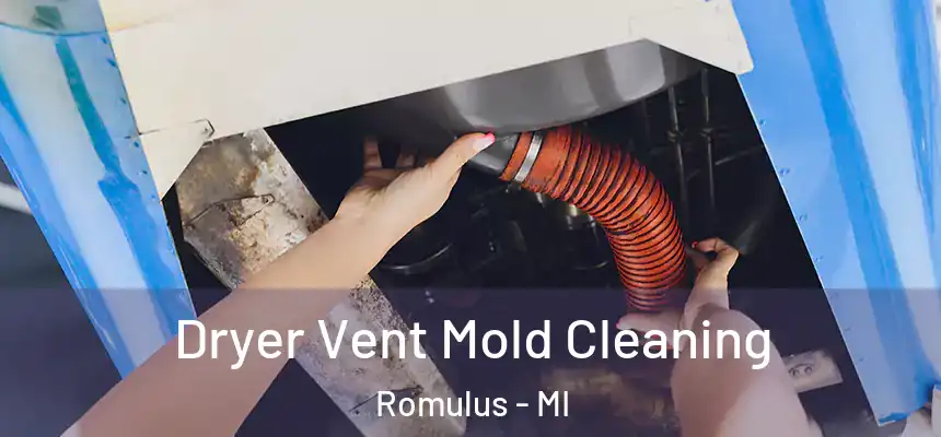  Dryer Vent Mold Cleaning Romulus - MI
