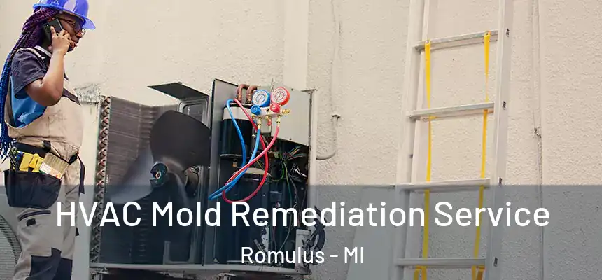 HVAC Mold Remediation Service Romulus - MI