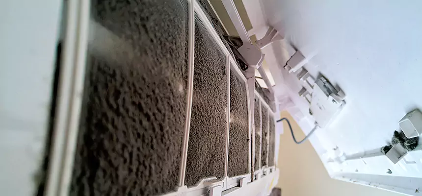 Preventive Air Duct Bacteria Removal in Romulus