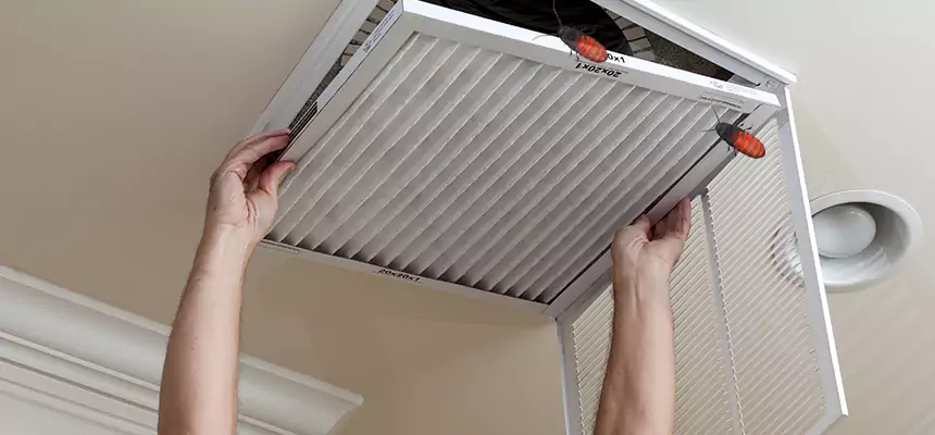 Preventive Cockroach-Proofing for Ducts in Romulus
