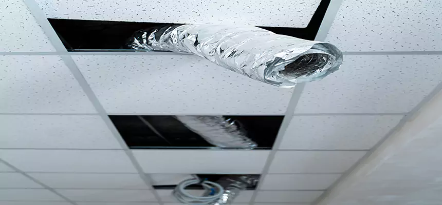 Affordable HVAC Sanitizing After Pest Removal in Romulus