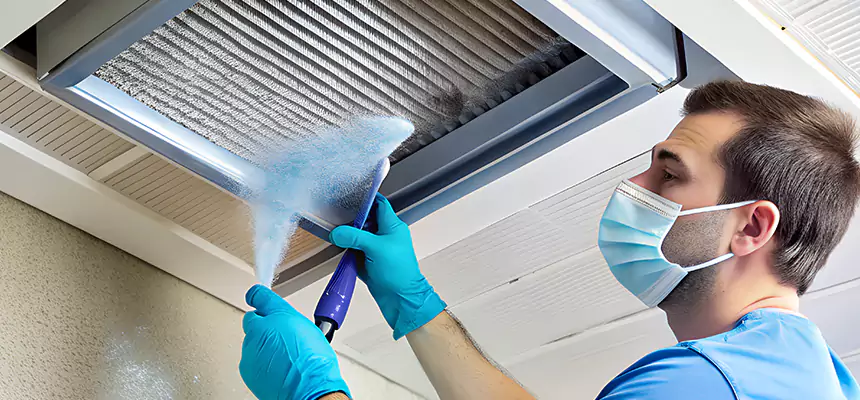 Proactive Dryer Vent & Auxiliary Duct Pollen Cleanup in Romulus, MI