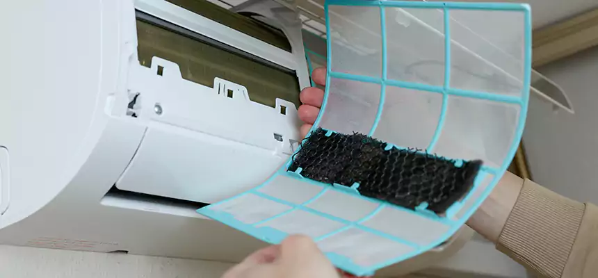 Gentle Ductwork Odor-Control Pet Dander Duct Cleaning in Romulus, MI