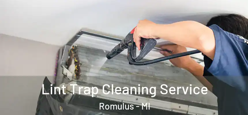 Lint Trap Cleaning Service Romulus - MI
