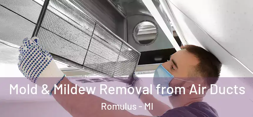Mold & Mildew Removal from Air Ducts Romulus - MI