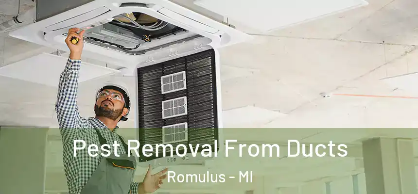  Pest Removal From Ducts Romulus - MI