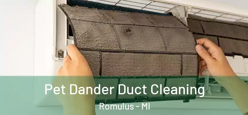  Pet Dander Duct Cleaning Romulus - MI