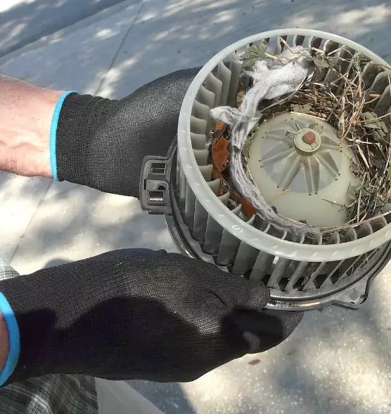 About Air Duct Mice Removal in Romulus, MI