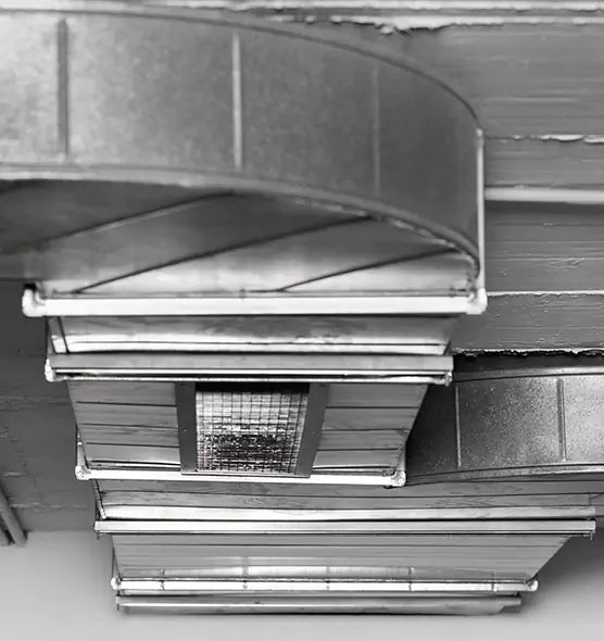 Professional Air Duct Pest Removal in Romulus, MI