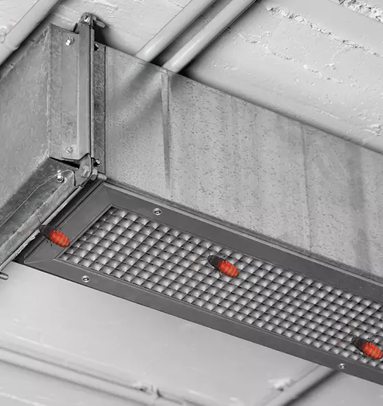 Affordable Insect Removal from Air Ducts in Romulus, MI