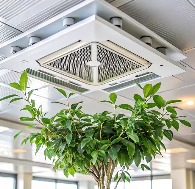 Why Homeowners & Businesses Trust Us in Romulus, MI?